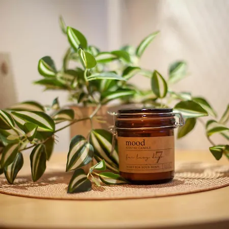 Transylvania - Free Parking Lägenhet Cluj-Napoca