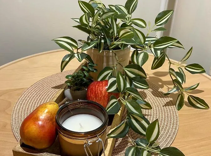 Transylvania - Free Parking Cluj-Napoca