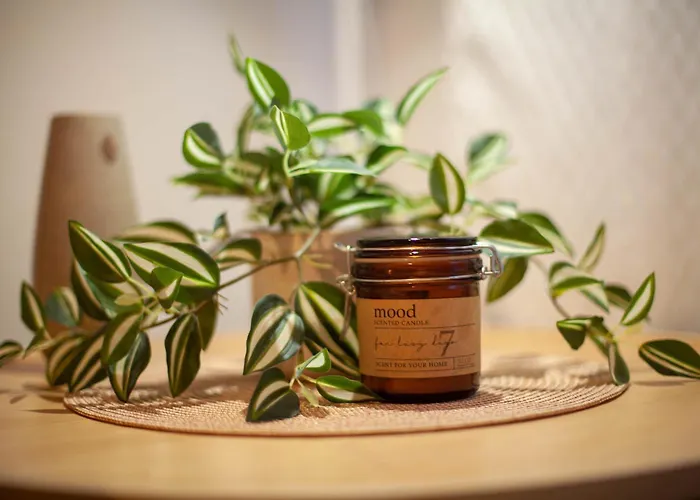 Transylvania - Free Parking Apartmán Kluž